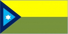 Imagen Bandera Guachapala